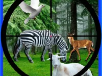 image Real Jungle Animals Hunting