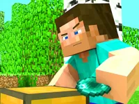 image Master Craft