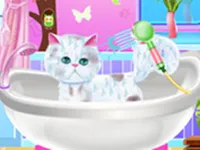 image Excellent Pet Groomer