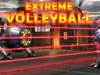 image Extreme Volleyball