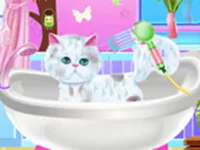 image Pet Groomer