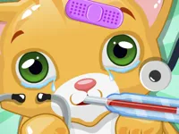 image Little Cat Doctor