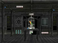 image Parrots Escape