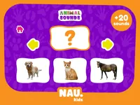 image Animal Sounds