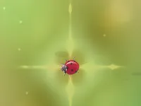 image Pest Control