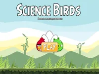 image Science Birds