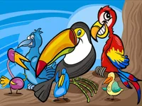 image Exotic Birds Coloring