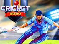 image Cricket 2020