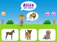image World of Alice - Baby animal