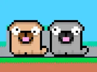 image Friends Pug