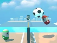image Pin Voleyballs