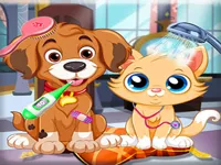 image Puppy Pet Vet Care